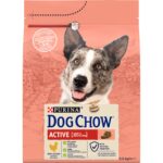 Сухой корм DOG CHOW Active Adult 1+ для взрослых собак с повышенной активностью с курицей