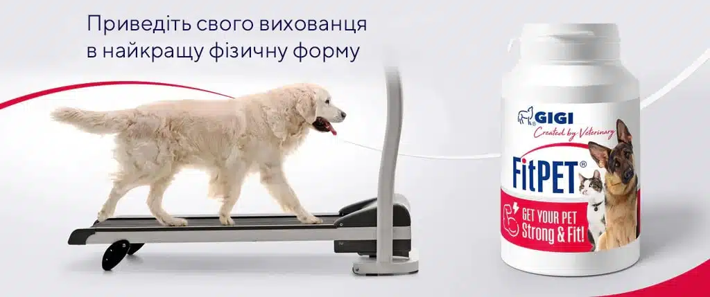 fitpet zamovlyaj na amigovet
