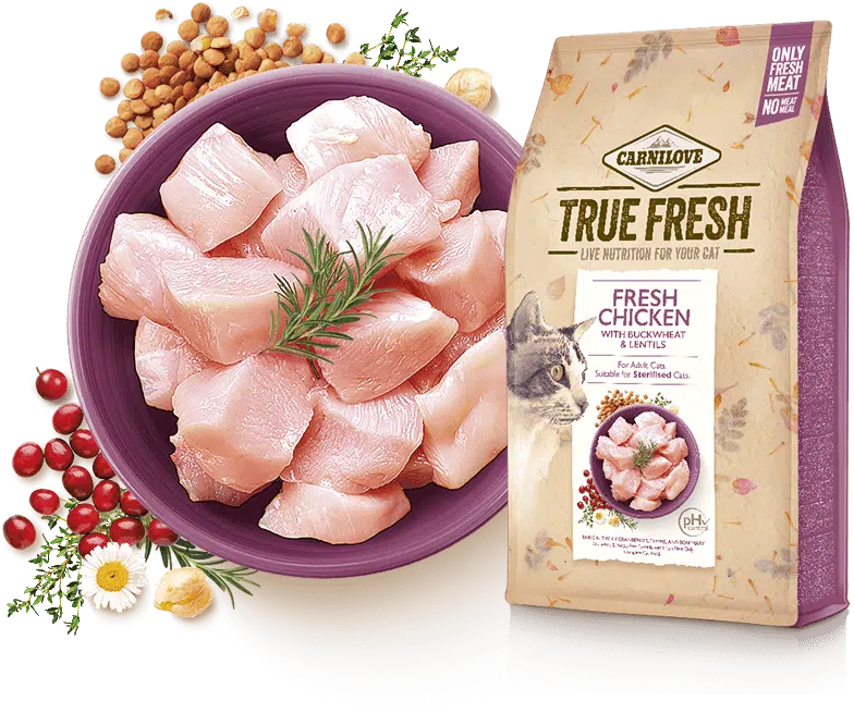 fresh chicken