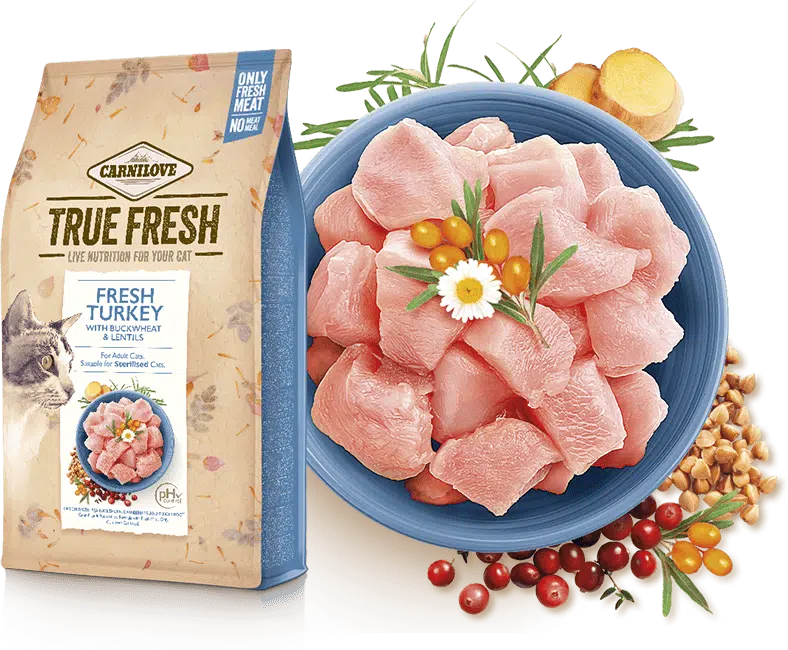fresh turkey