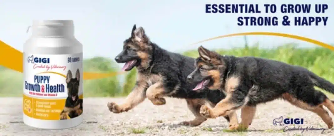 БіоКальцій ПЕТ / PUPPY Growth & Health (GIGI) 90 таб 1 gigi puppy growth health amigovet