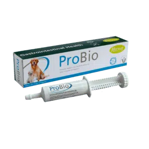 ProBio Paste ПроБіо паста для кишечника та імунітету собак