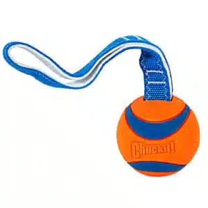 Іграшка Chuckit! Ultra Tug тенісний м'яч з ручкою-ременем для собак