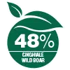 3782 t 48cinghiale