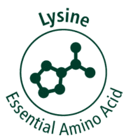 lysine icon 200x200 1