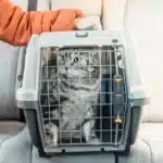 60c4a7ad1b29770fc1ec