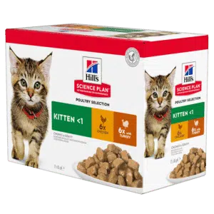 Корм Hill's Science Plan Kitten з куркою та індичкою для кошенят, 6+6 шт x 85 г