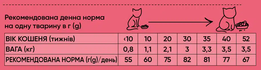 20925 kitten 1