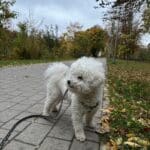 Фото з відгуку