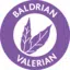picto baldrian valerian 2 sall awk v1