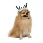 Новорічні ріжки оленя "DEER" Pet Fashion