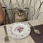 Фото з відгуку