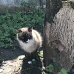 Фото з відгуку