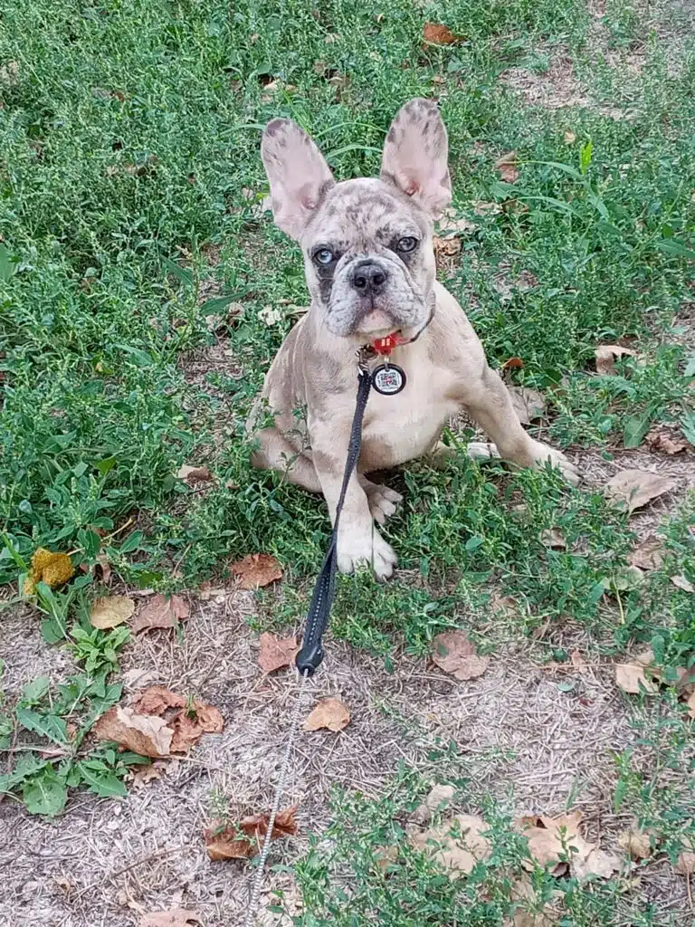 Зображення #1 від марина кошелева