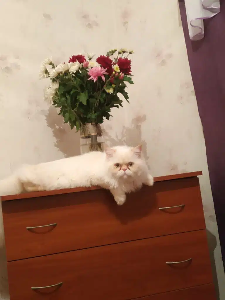 Зображення #1 від Юлія