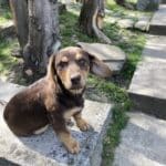 Фото з відгуку
