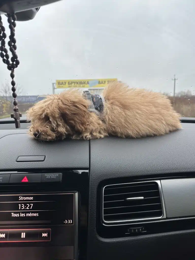 Зображення #2 від Лілія Демчук