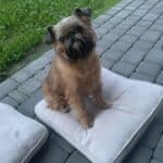 Фото з відгуку
