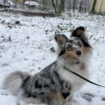 Фото з відгуку