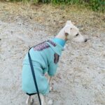Фото з відгуку