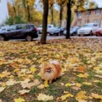 Фото з відгуку