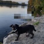 Фото з відгуку