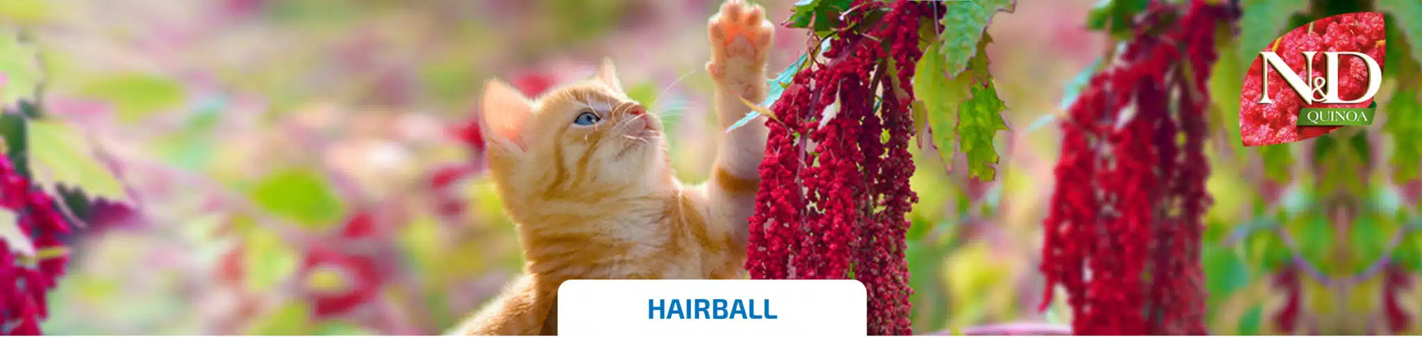 farmina hairball scaled