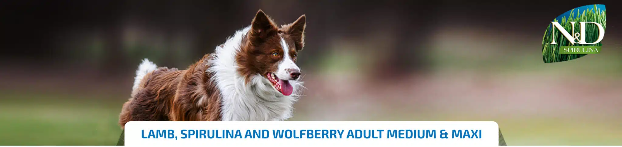 Беззерновий корм для собак середніх та великих порід Farmina N&D Spirulina з ягням, спіруліною та ягодами годжі 1 farmina spirulina scaled