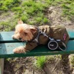 Фото з відгуку