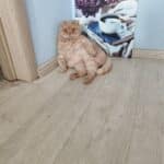 Фото з відгуку