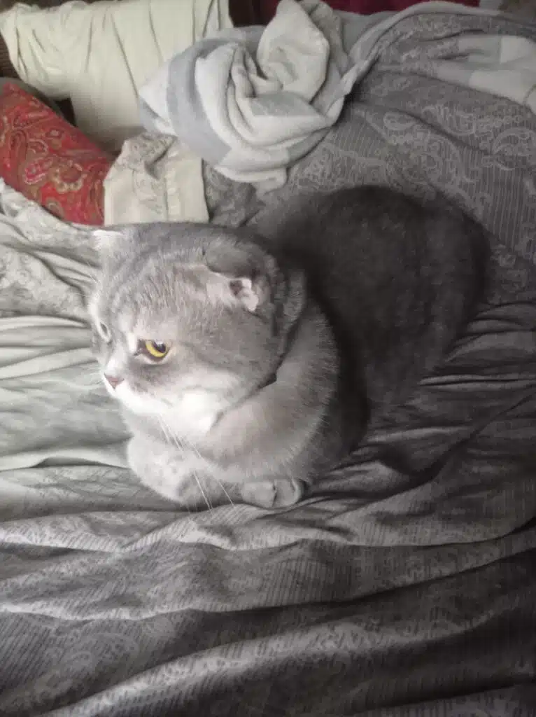 Image #1 from Вероніка Д.