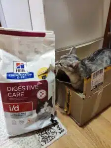 img 20231215 202659