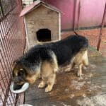 Фото з відгуку