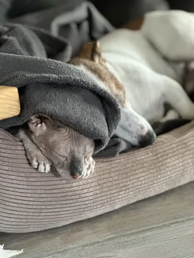 Зображення #1 від Олена П.