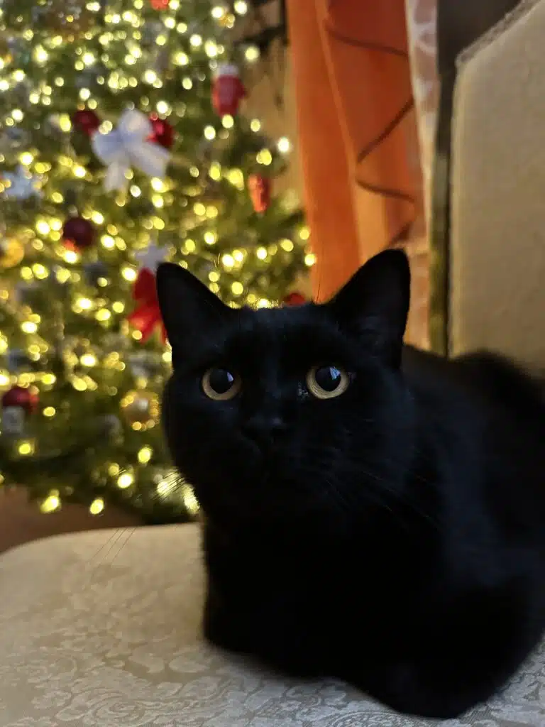 Зображення #1 від Диана Г.