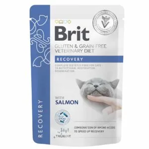 Вологий корм для котів Brit Veterinary Diet Recovery беззерновий з лососем, 85 г