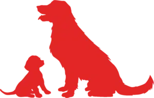 CardioCare paste (КардіоКер) — підтримка здоров'я серця у собак, 30ml 3 dog and puppy 768x490 1 e1704357943235