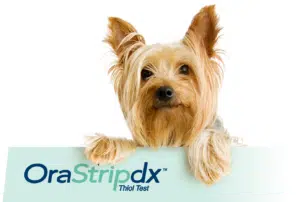 Діагностичні дентальні смужки для домашніх тварин - Plaqtiv+ OraStripdx, 4 шт 3 dog fade
