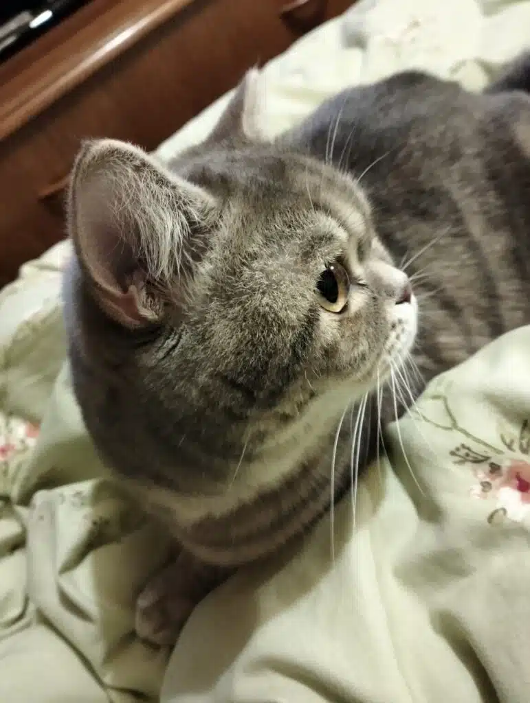 Зображення #1 від Вікторія Ізотова