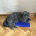 Фото з відгуку