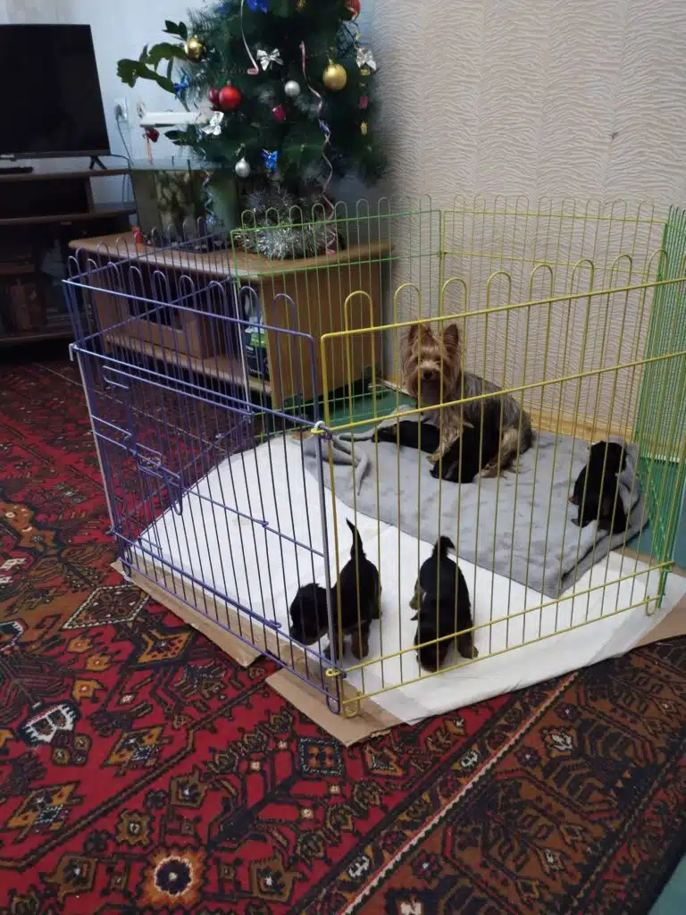 Зображення #1 від Наталія