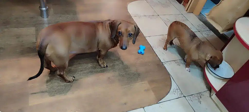 Image #1 from Оксана