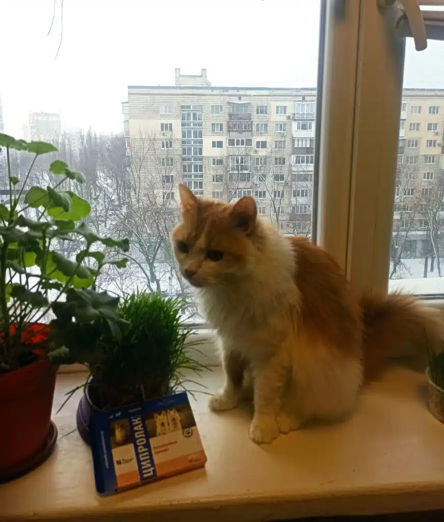 Зображення #1 від Оксана П.