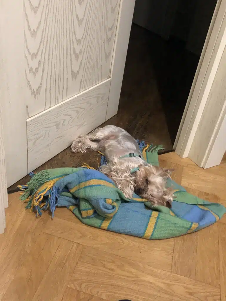 Image #1 from Поліна