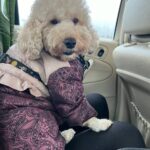 Фото з відгуку