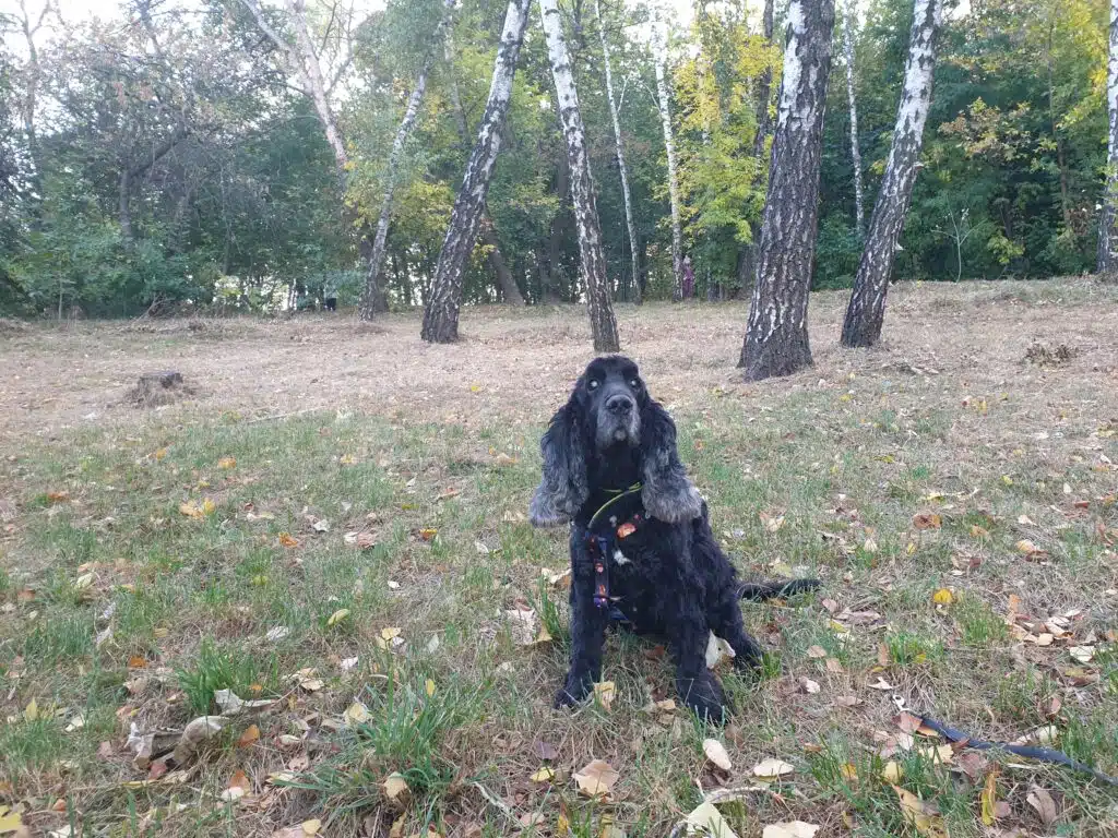 Image #1 from Ольга