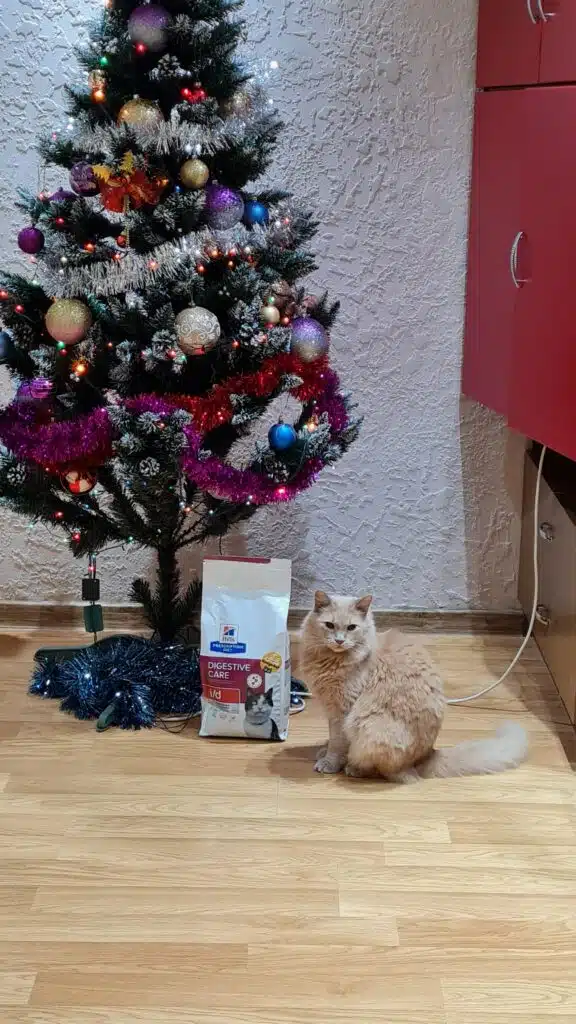 Зображення #1 від Галина Газда
