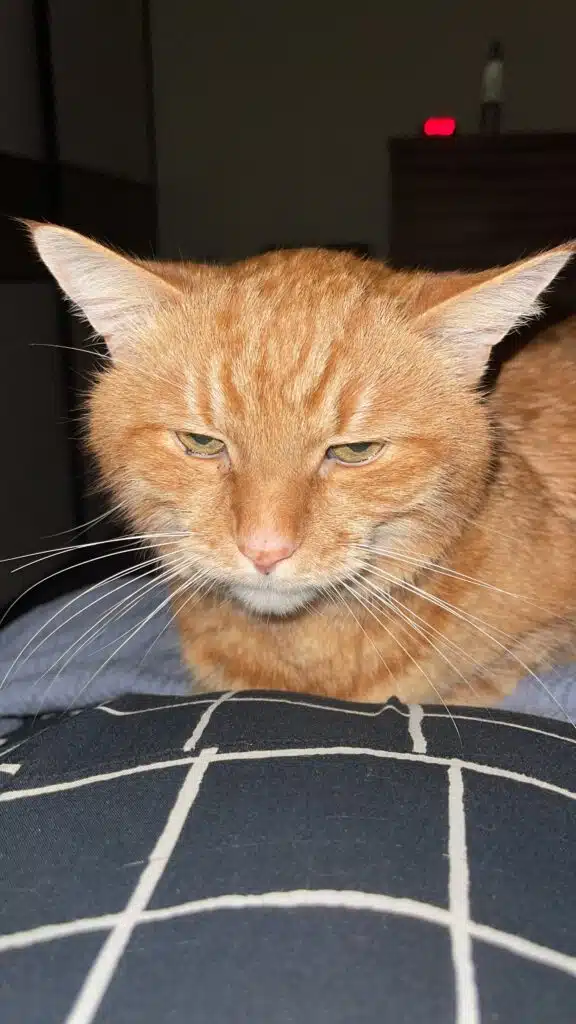 Зображення #1 від Галина