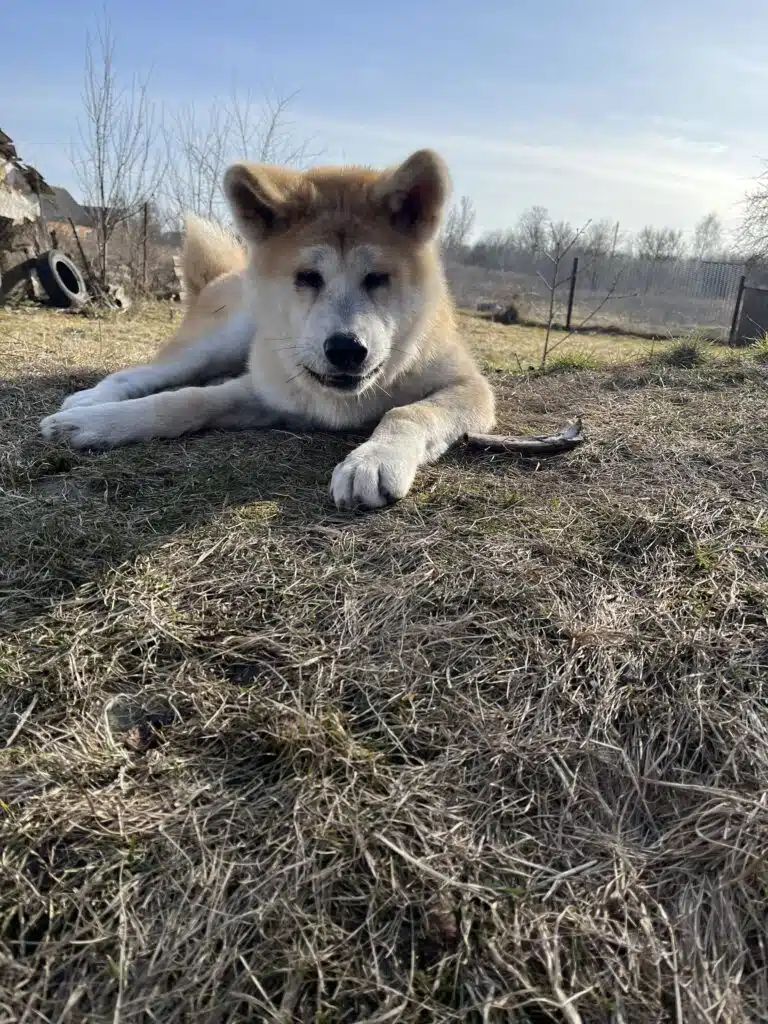 Зображення #1 від Яна А.