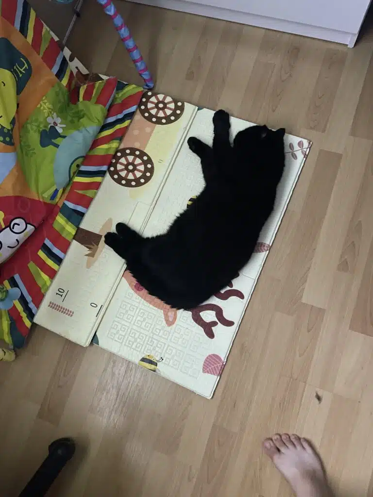 Зображення #2 від Анна М.